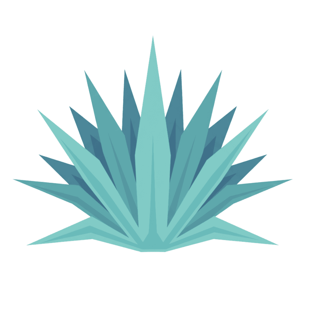 Agave
