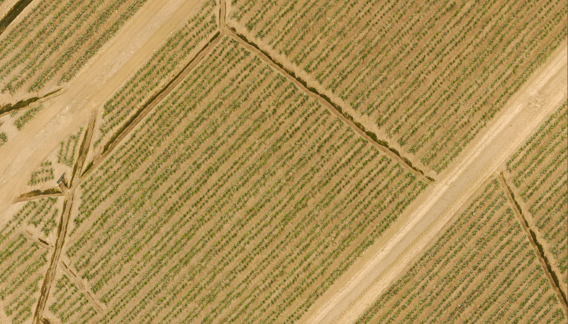 Modelos de Detección por Puntos - Left