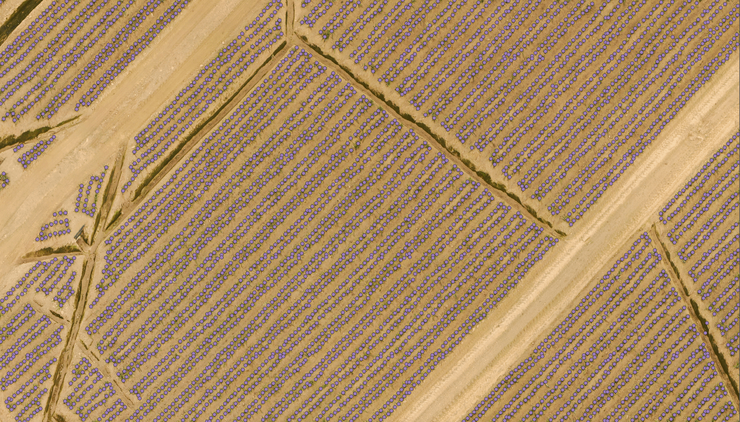 Point Detection Models - Right