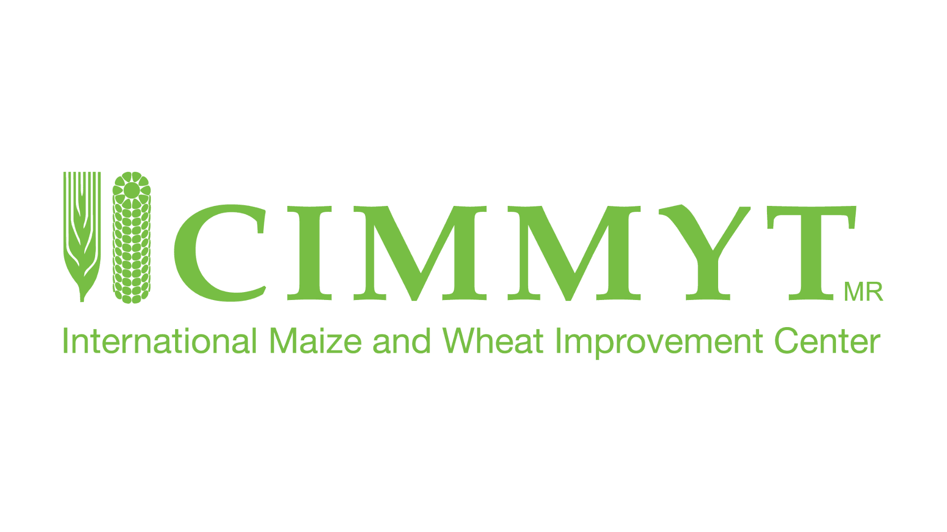 CIMMYT