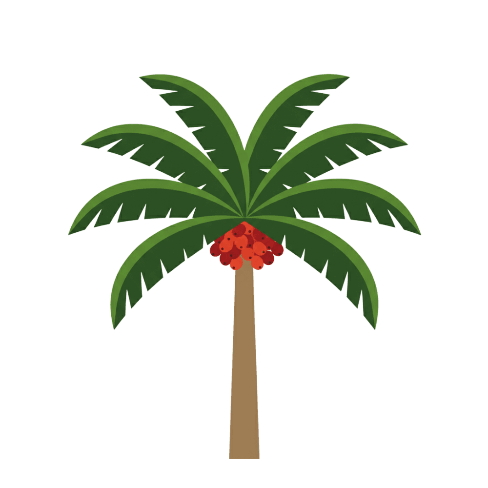 Palma Africana