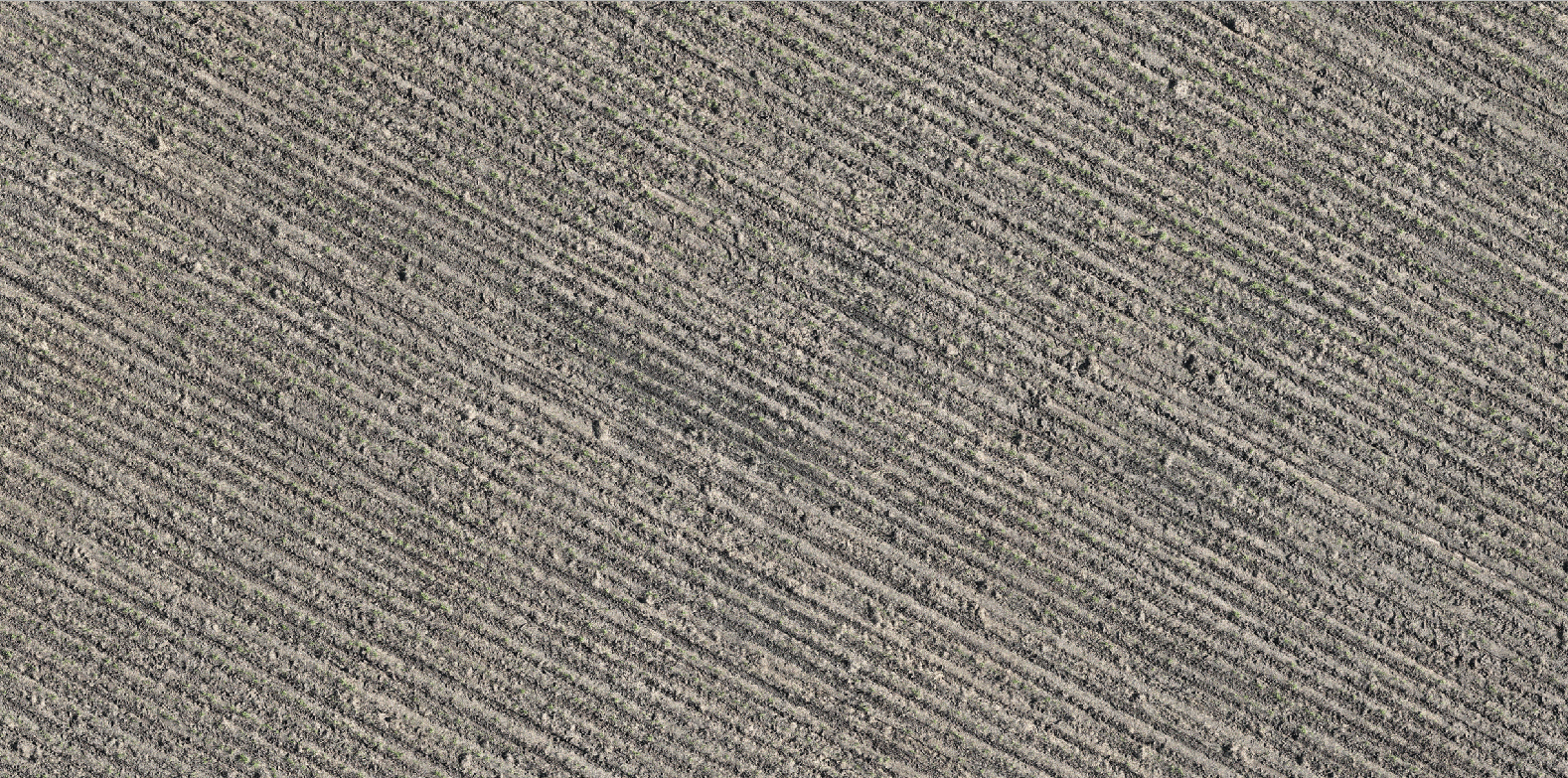 Imagen de tu campo, capturada por dron
